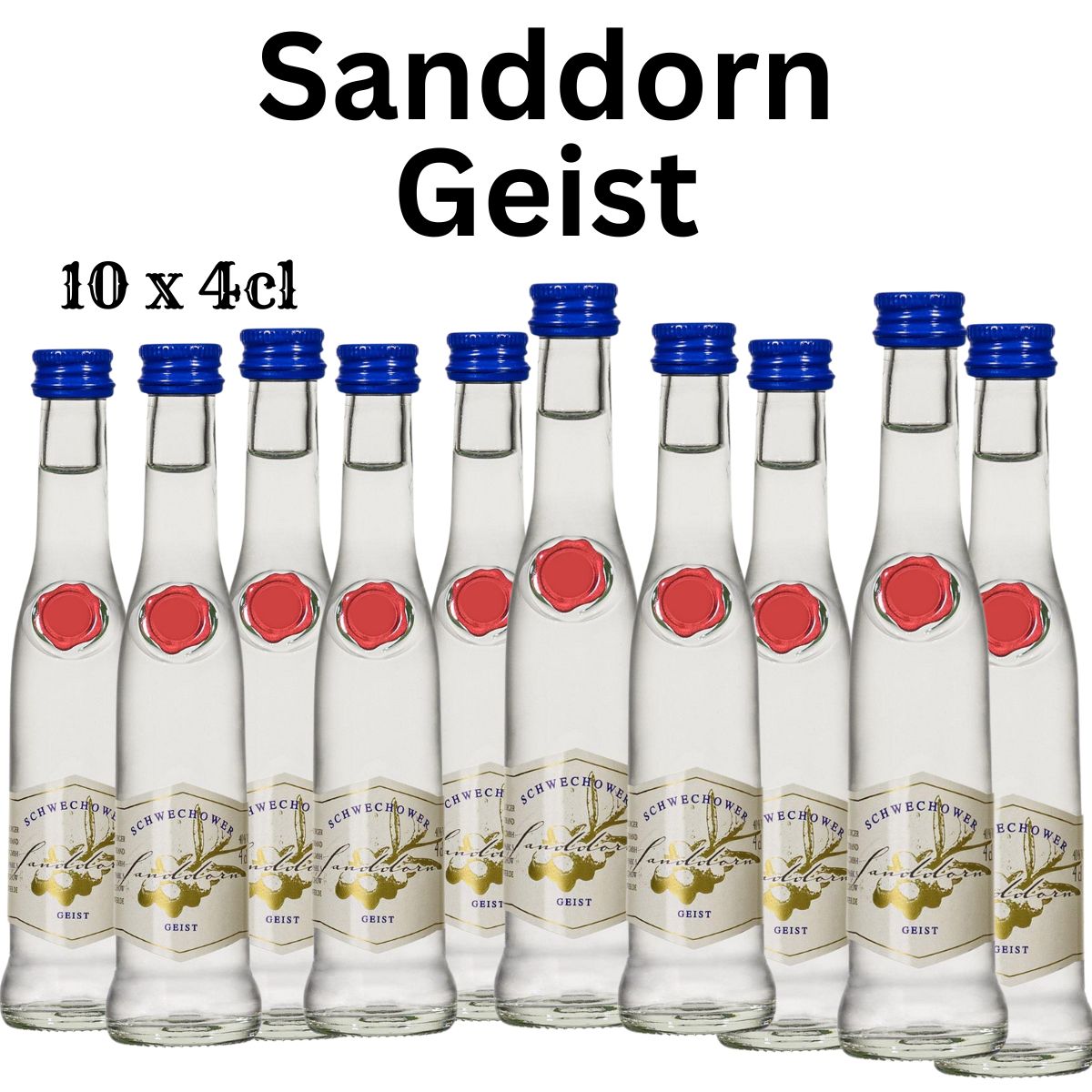 Obstgeist Sanddorn 10x4cl (40%Vol)