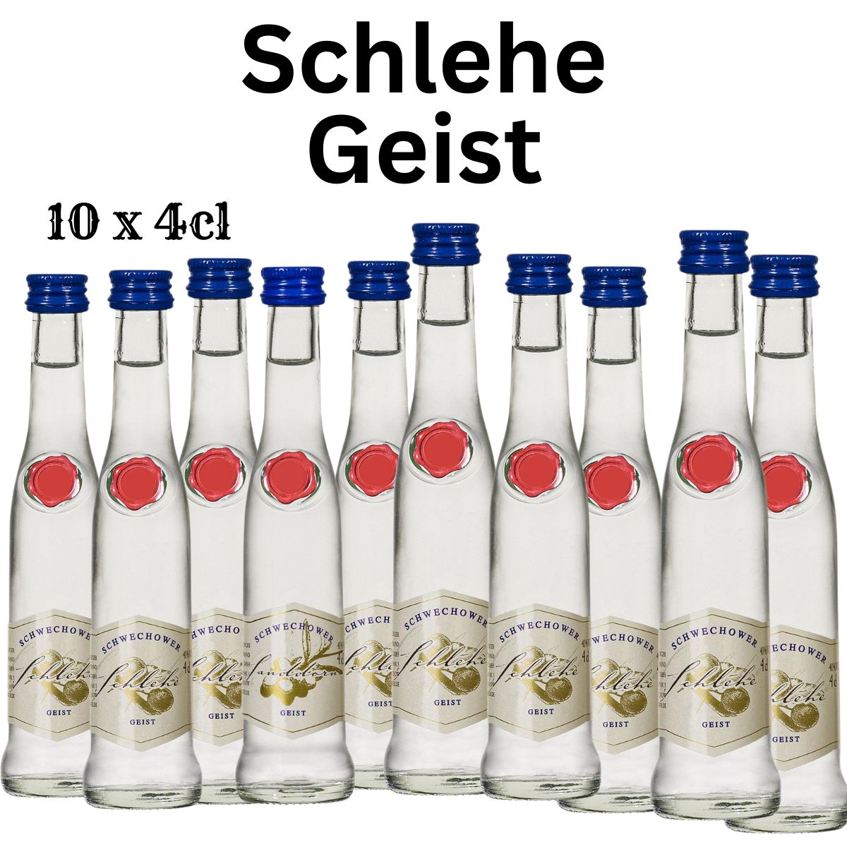 Obstgeist Schlehe 10x4cl (40%Vol)