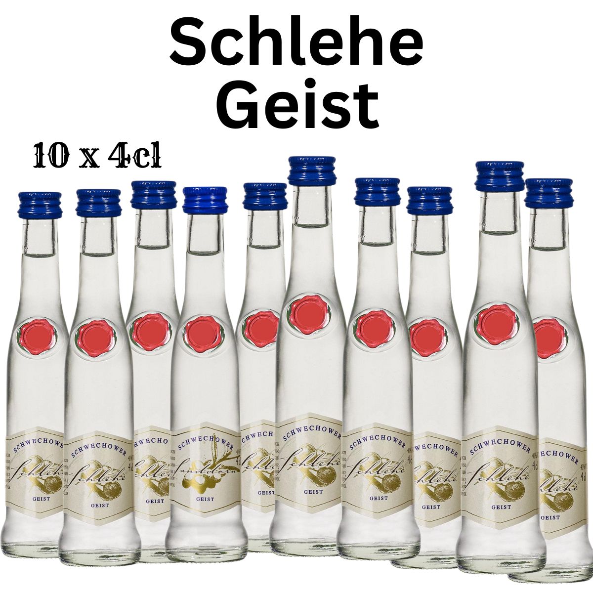 Obstgeist Schlehe 10x4cl (40%Vol) Obstgeist Schlehe 10x4cl (40%Vol)