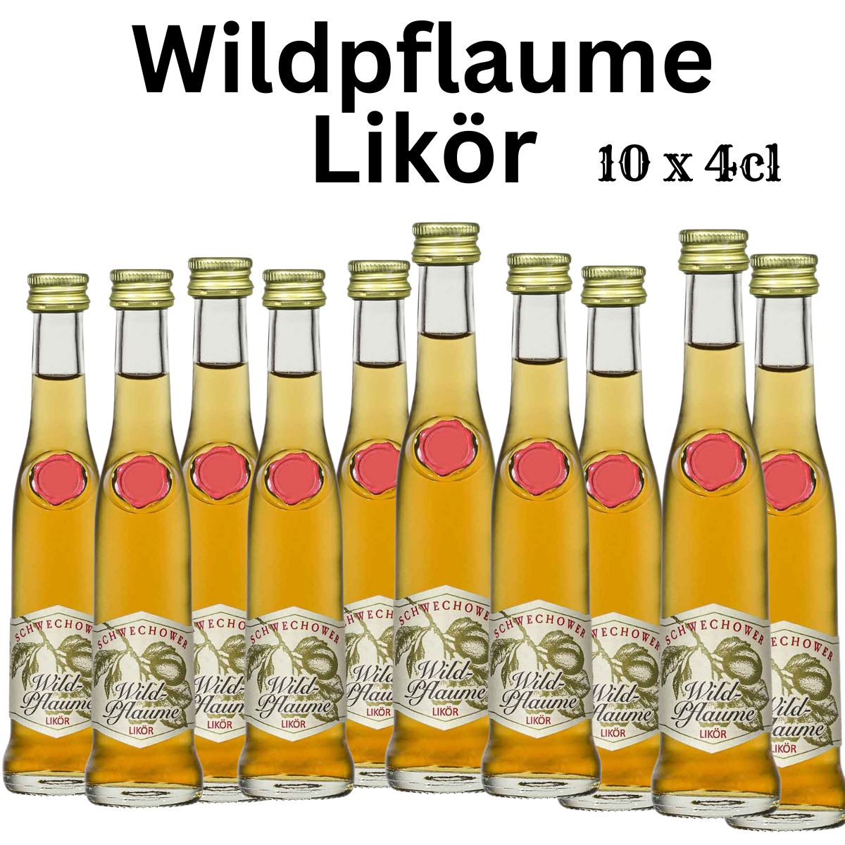 Likör Wildpflaume 10x4cl (22%Vol)